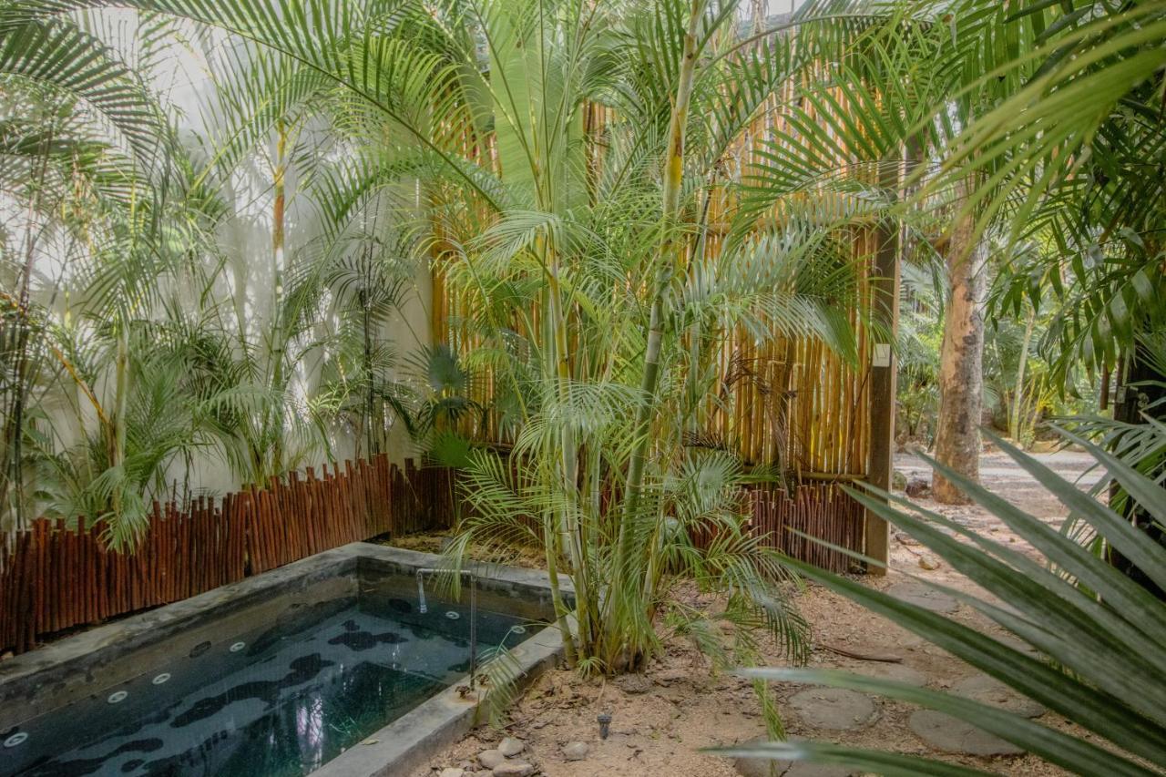 Ideal 4 Groups Aldeazama 2Br 10Pax Apt Papaya Playa 图卢姆 外观 照片